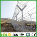 China Factory Supply Galvanized Razor/Barbed wire